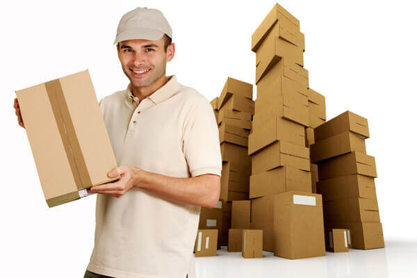 movers and packers Service